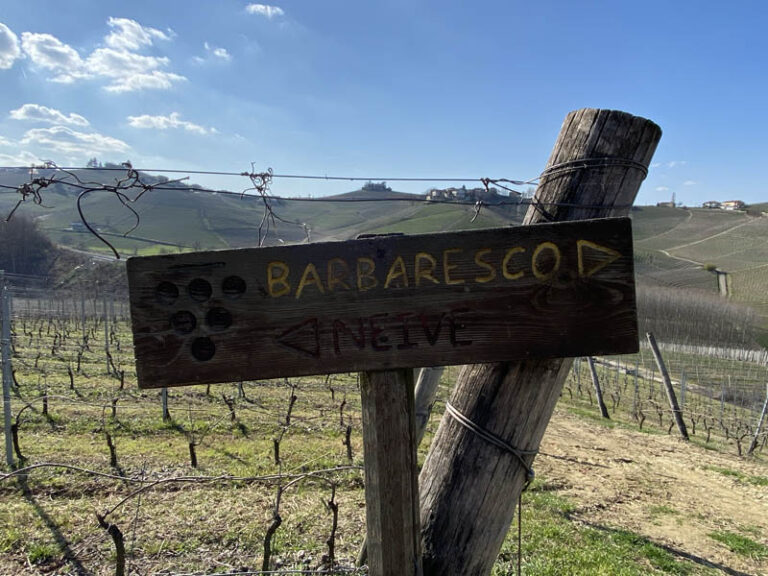 sentiero neive - barbaresco