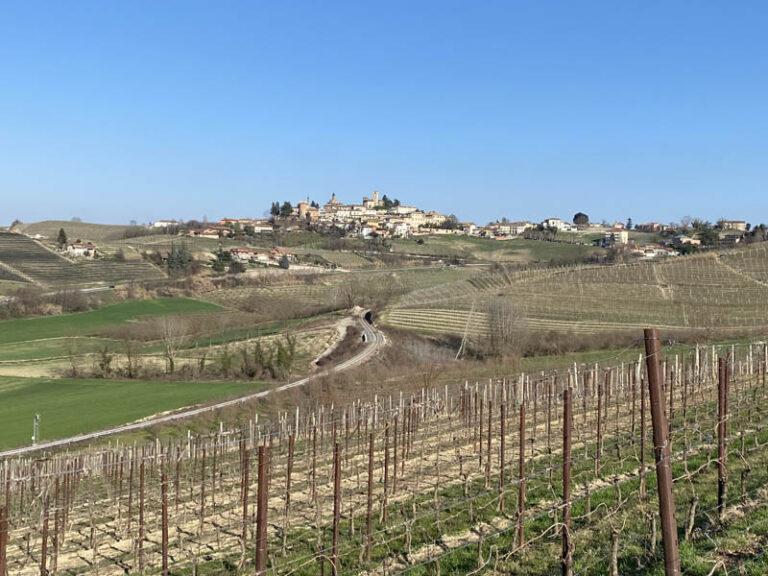 sentiero neive - barbaresco