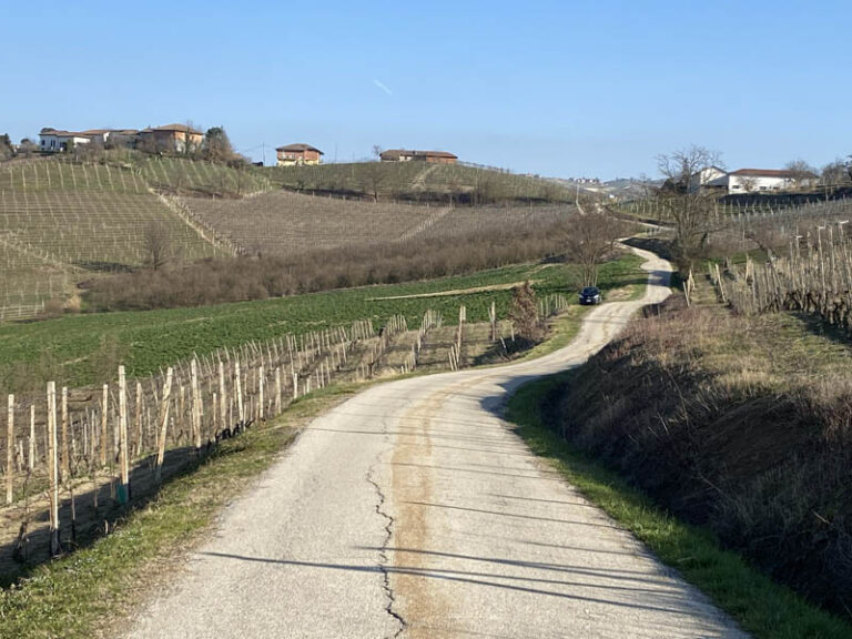 sentiero neive - barbaresco