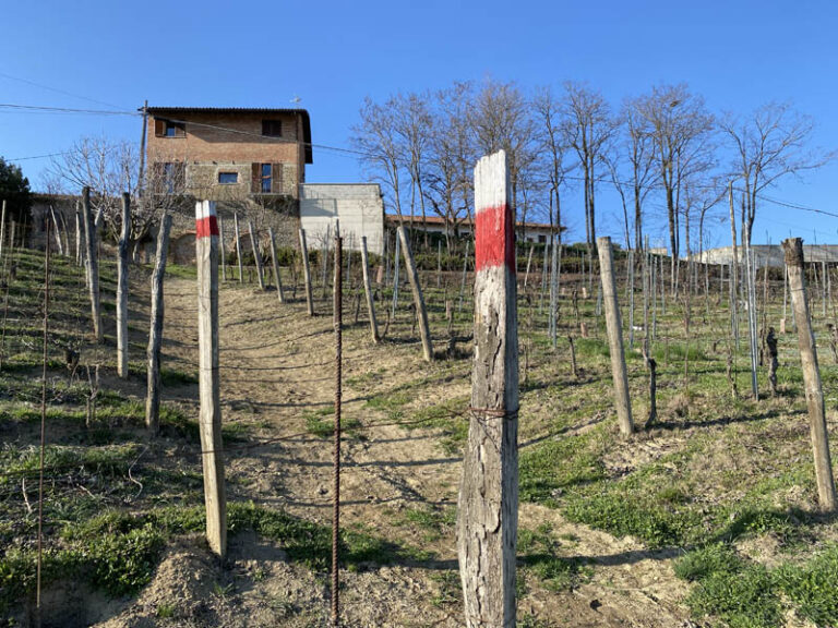 sentiero 313 neive - barbaresco