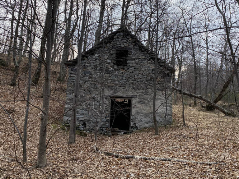 baite nel bosco di Trontano