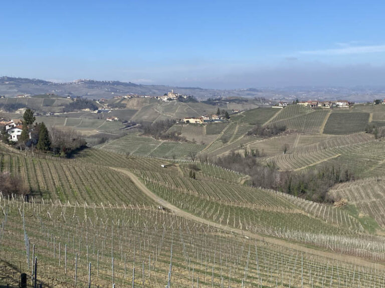 uno sguardo verso le Alpi, la Valle Tanavo e Castiglione Falletto