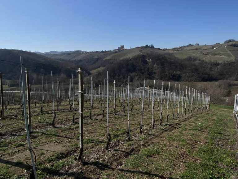 sentiero di trekking Serralunga d'Alba - Sinio