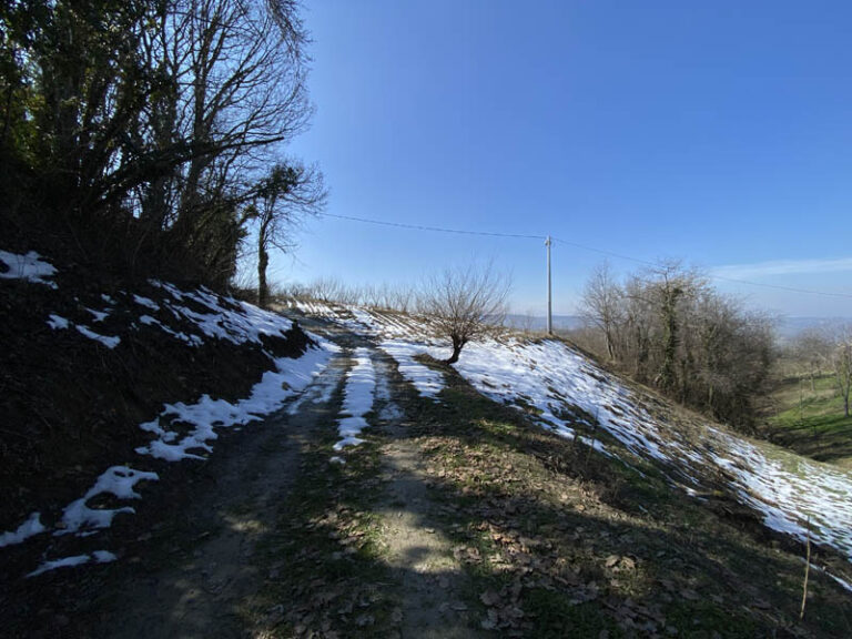 sentiero Serralunga d'Alba - Sinio