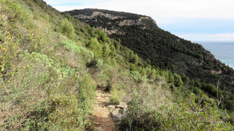 incrocio con il Sentiero Natura