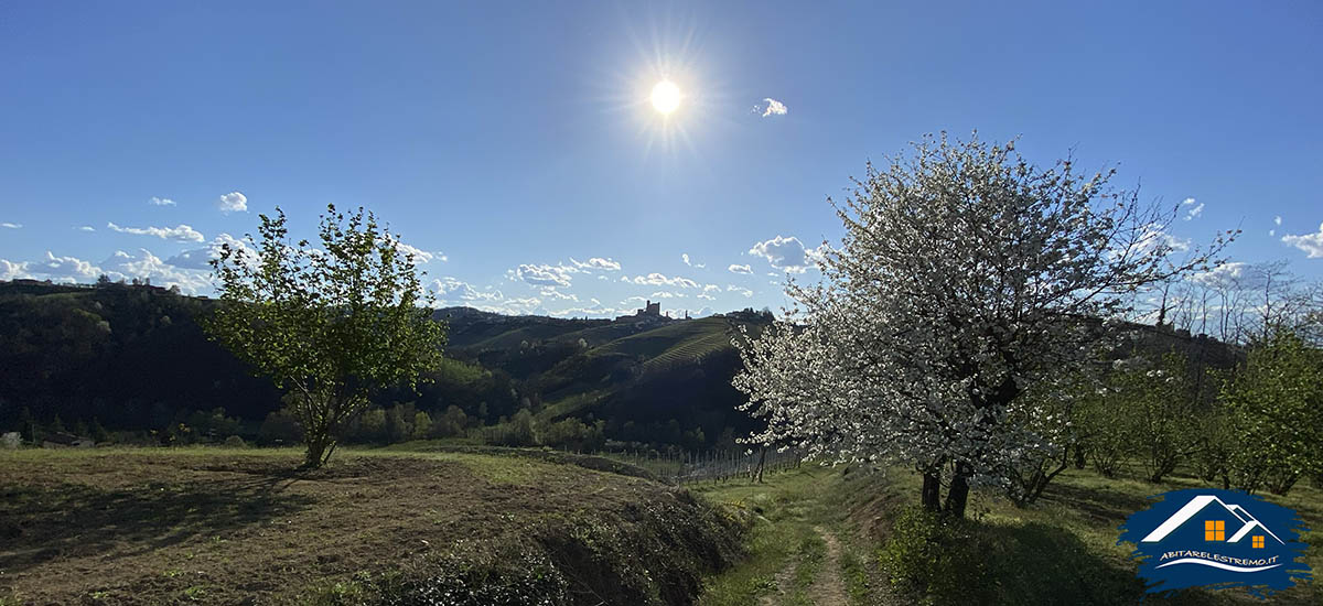 la vista verso il borgo di Serralunga d'Alba