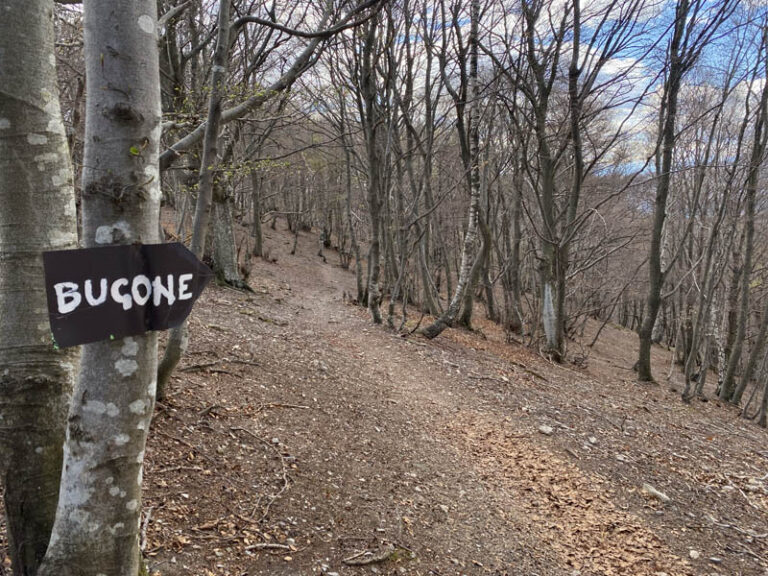 sentiero n° 1 monte lariani