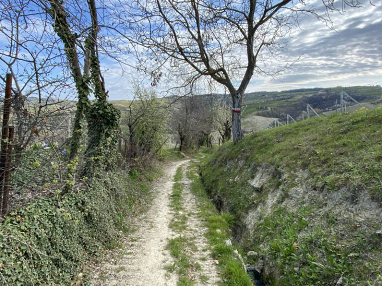 sentiero Serralunga d'Alba - montelupo albese