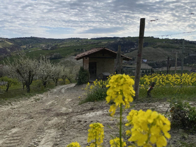 sentiero Serralunga d'Alba - montelupo albese