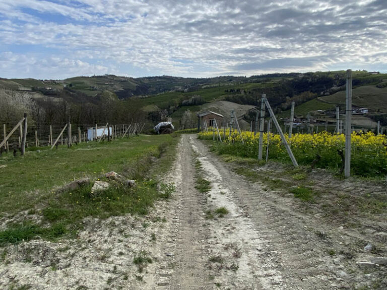 sentiero Serralunga d'Alba - montelupo albese