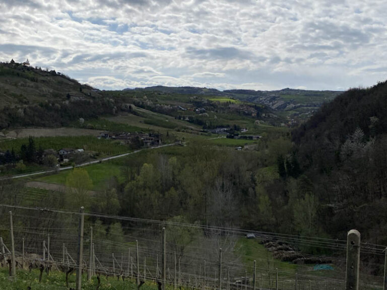 sentiero Serralunga d'Alba - montelupo albese