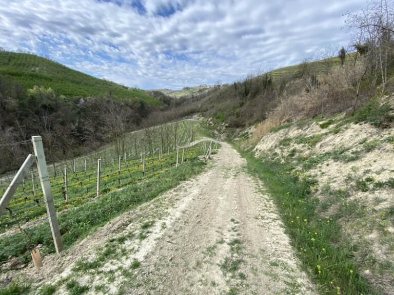 sentiero Serralunga d'Alba - montelupo albese