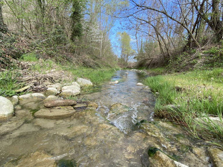 torrente talloria