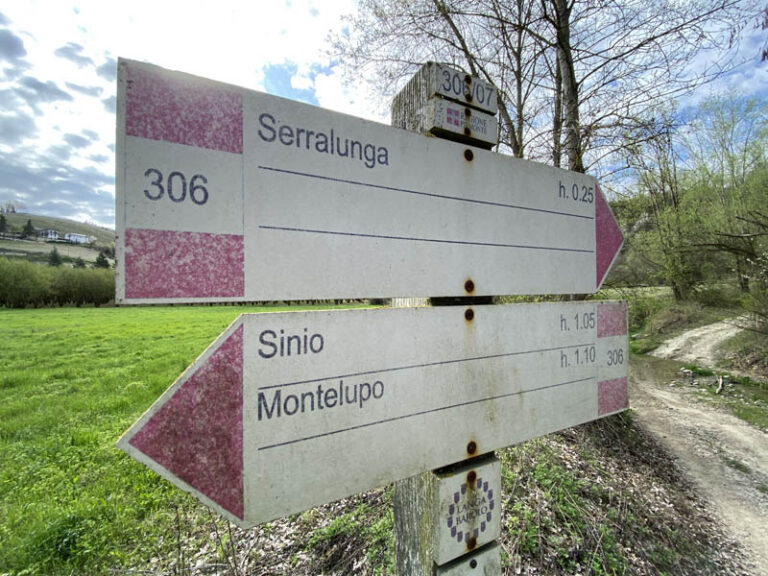 sentiero Serralunga d'Alba - montelupo albese