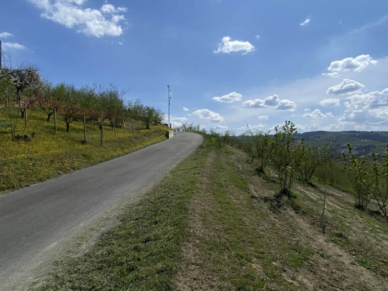 sentiero Serralunga d'Alba - montelupo albese