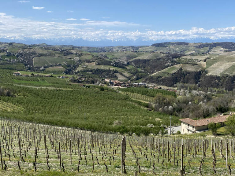 sentiero Serralunga d'Alba - montelupo albese