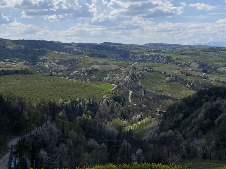 sentiero Serralunga d'Alba - montelupo albese