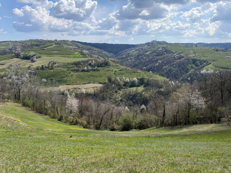 sentiero Serralunga d'Alba - montelupo albese