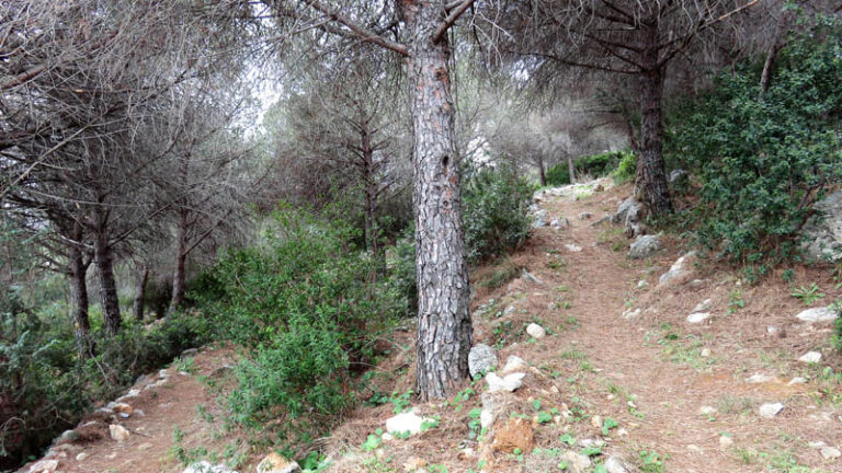 sentiero delle ramate