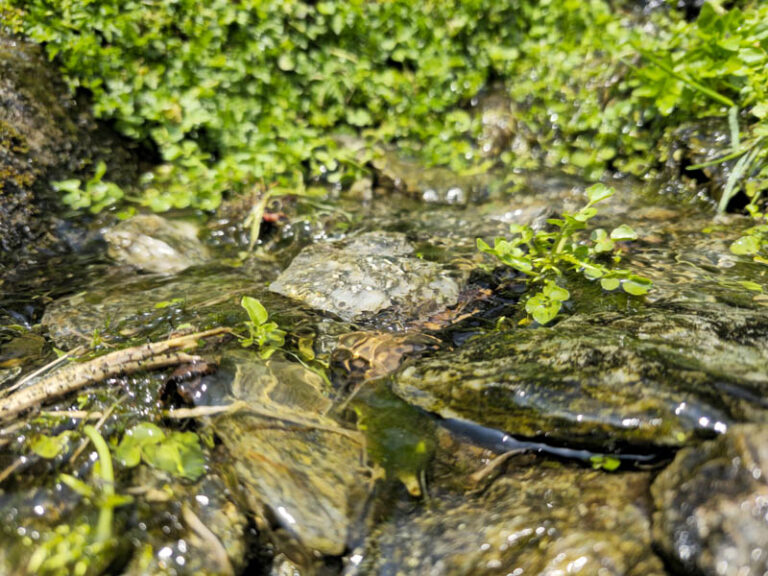 sentiero rifugio la canua