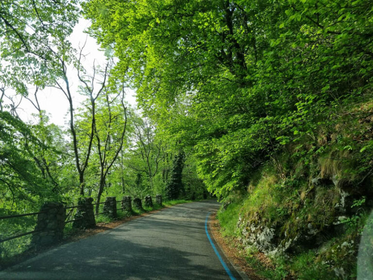 strada verso il Campo dei Fiori