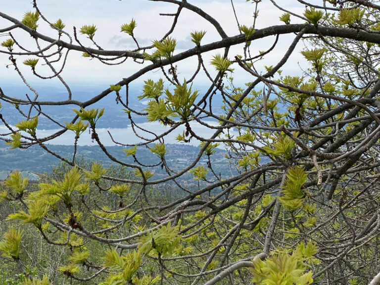 parco regioael del Sacro Monte