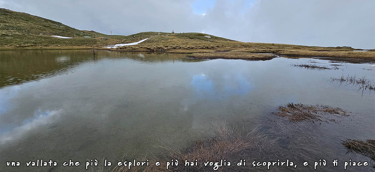 lac de grenouilles