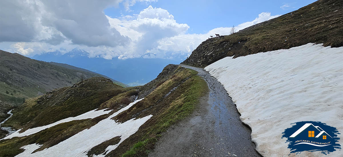 poderale rifugio mont fallere