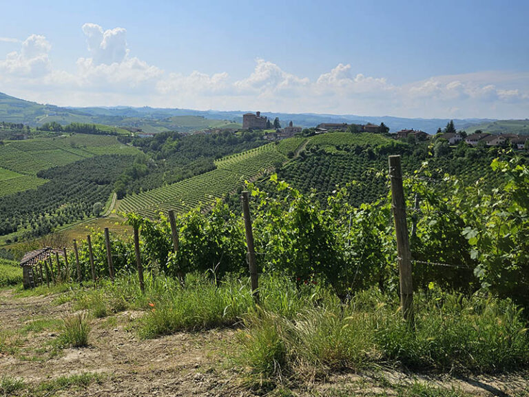 sentiero Grinzane Cavour - Roddi