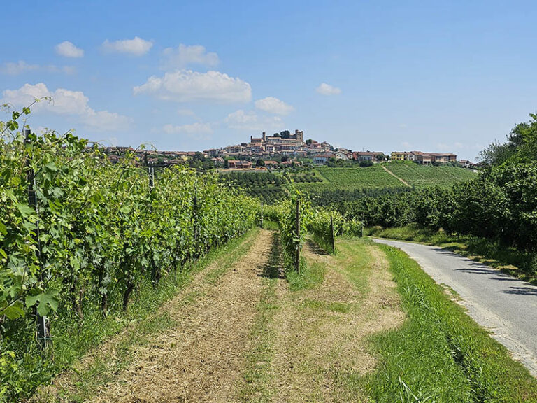 sentiero Grinzane Cavour - Roddi