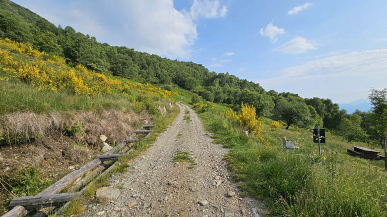 sentiero di salita Rifugio Menaggio