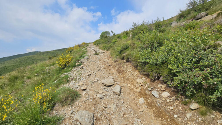 sentiero di salita rifugio menaggio