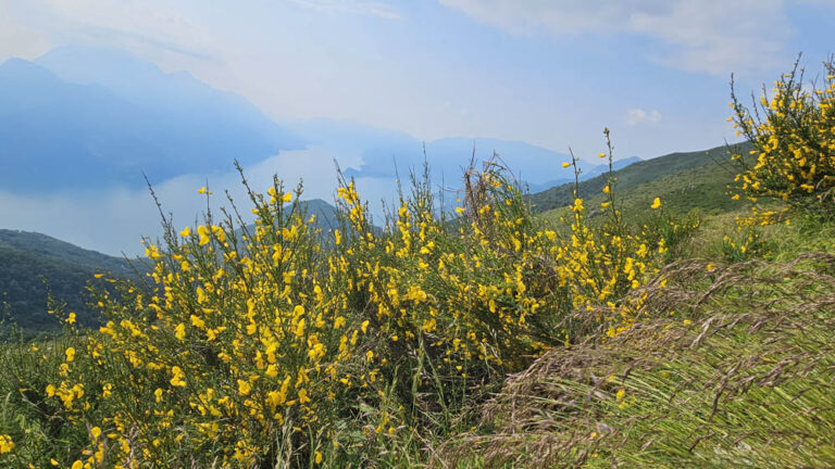 sentiero di salita rifugio menaggio