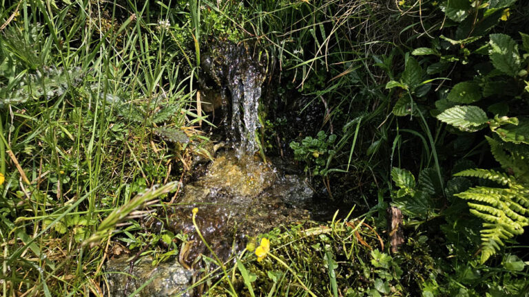 sentiero di salita rifugio menaggio