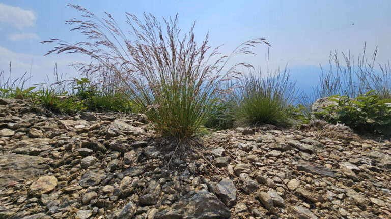 sentiero di salita rifugio menaggio