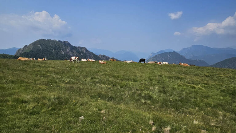 sentiero di salita rifugio menaggio