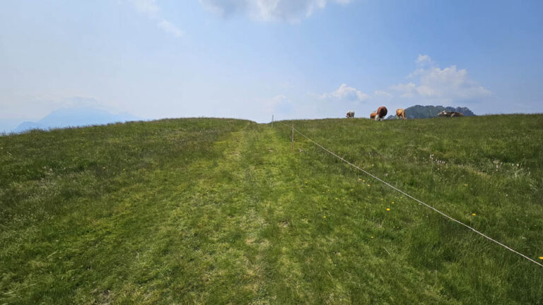 sentiero di salita rifugio menaggio