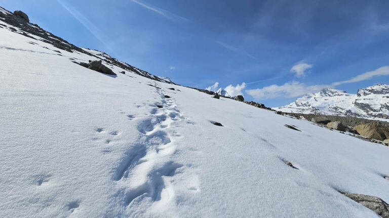 rifugio vittorio emanuele II