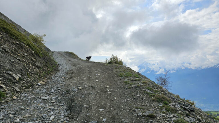 poderale rifugio mont fallere