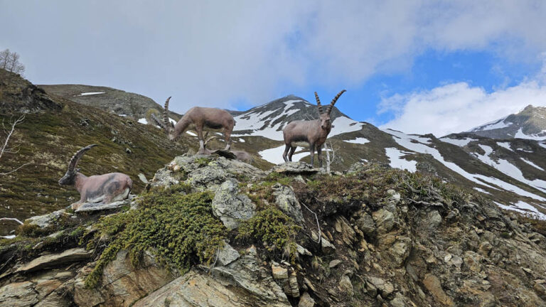 sculture museo a cielo aperto rifugio mont fallere