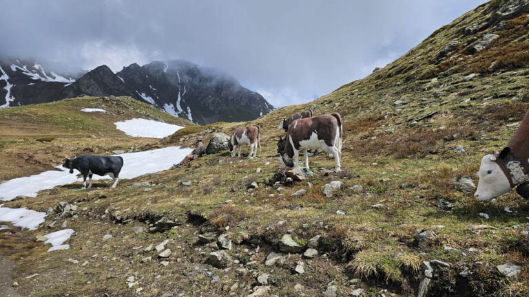 sculture museo a cielo aperto rifugio mont fallere