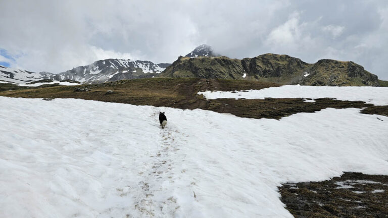 sentiero rifugio mont fallere