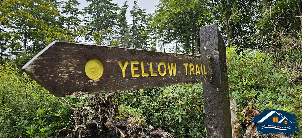 ards forest park - yellow trail -