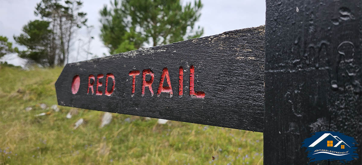 ards forest park - red trail -