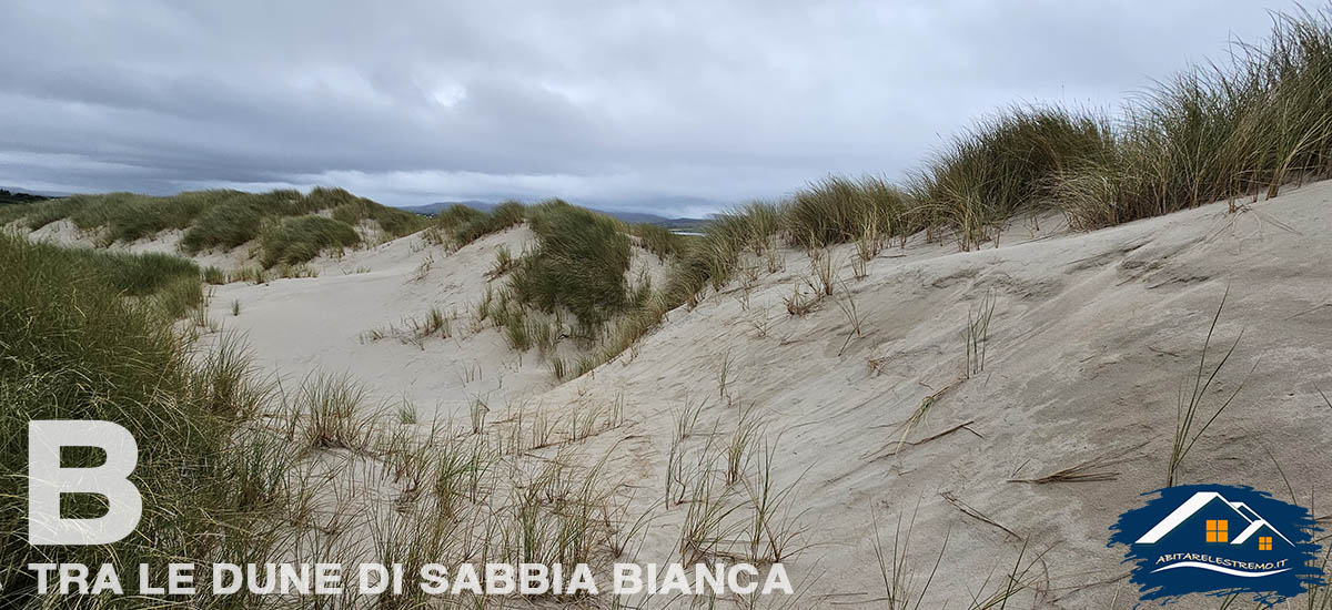 Sheskinmore Nature Reserve - Irlanda - Donegal