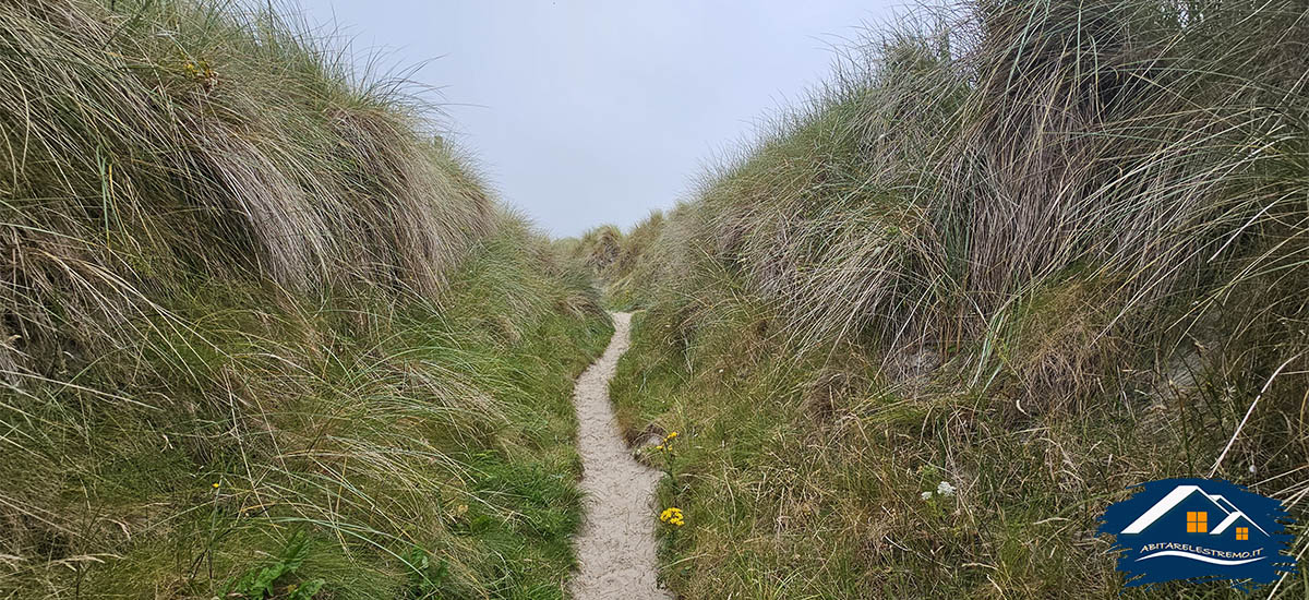 Sheskinmore Nature Reserve