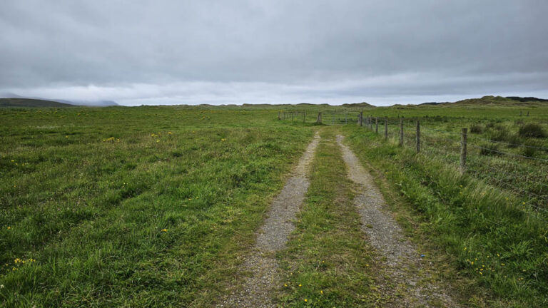 Sheskinmore Nature Reserve