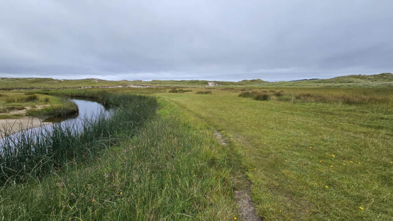 Sheskinmore Nature Reserve