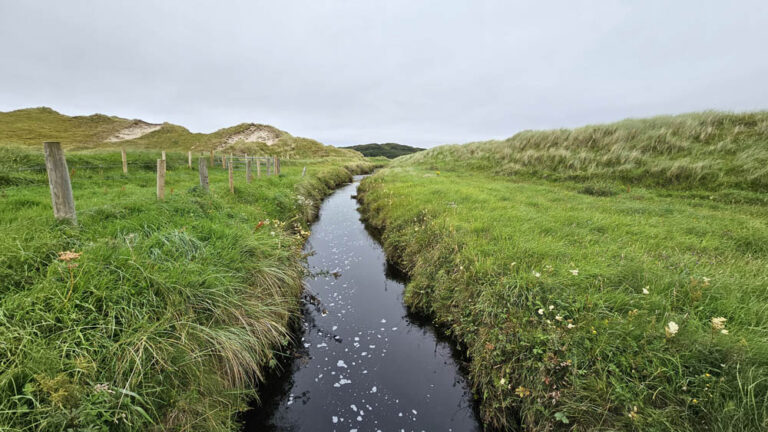 Sheskinmore Nature Reserve