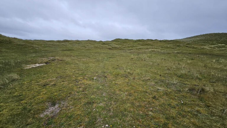 Sheskinmore Nature Reserve